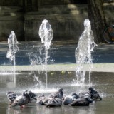 2508G 75 Braunschweig